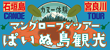 石垣島|マングローブツアーぱいぬ島観光